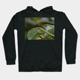 Green Snake Hoodie